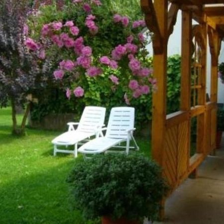 Haus Feldmuehle Διαμέρισμα Bad Frankenhausen Εξωτερικό φωτογραφία